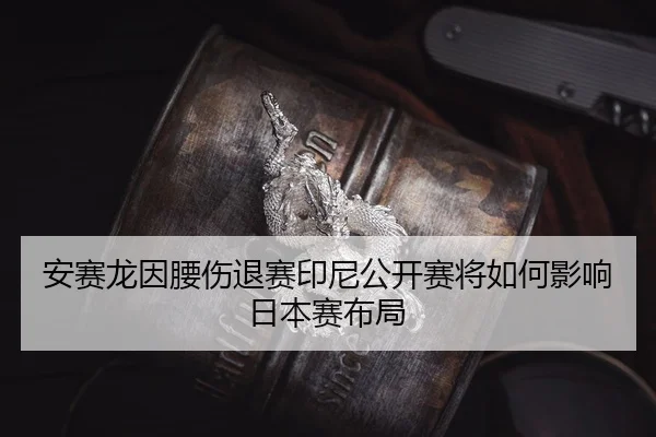an-sai-long-yin-yao-shang-tui-sai-yin-ni-gong-kai-sai-jiang-ru-he-ying-xiang-ri-ben-sai-bu-ju-2-373.jpg